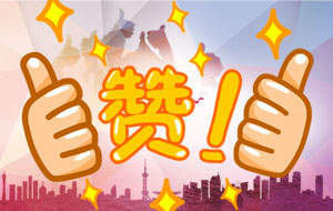 客戶盛贊：“你們的服務(wù)態(tài)度真是行業(yè)******！”