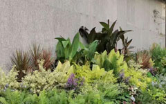 不看不知道，客戶這一年又做了這么多園林項目！